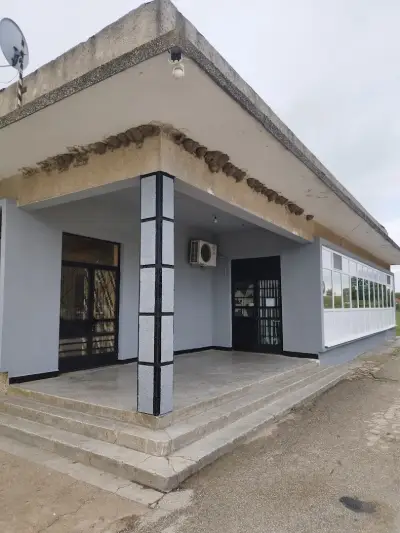 EMO-11