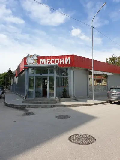 Месони