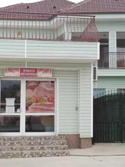 Месони