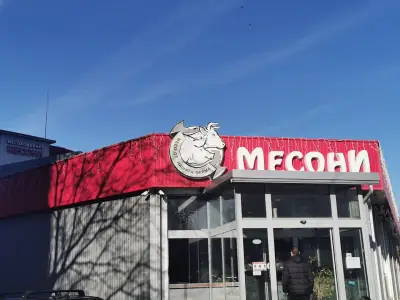 Месони