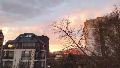 Младман Кейкс Бутик