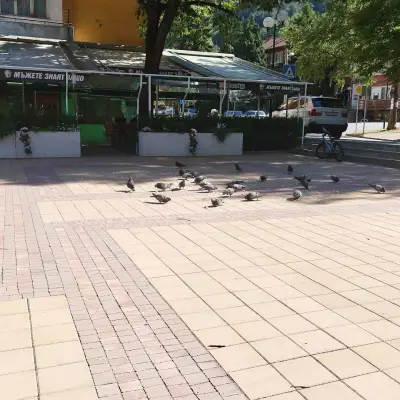 Сладкарница Лъки