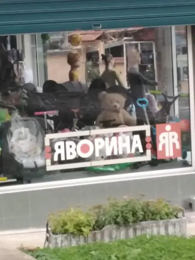 Силистра