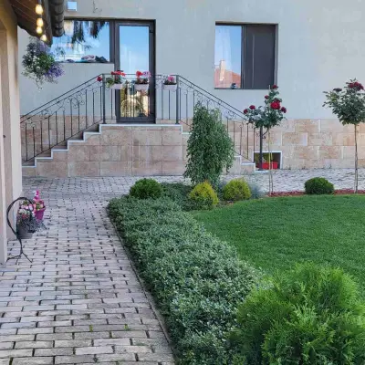 Ivis Garden