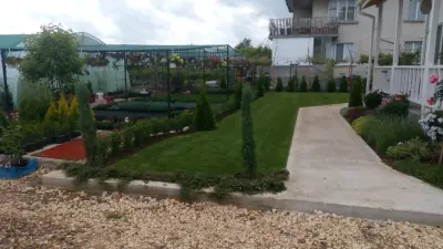 Ivis Garden