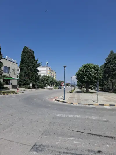 Сладкодъвка