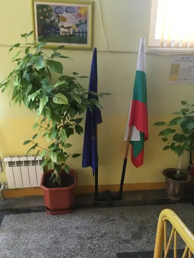 ЦЕЛОДНЕВНА ДЕТСКА ГРАДИНА РОЗА (ЦДГ)