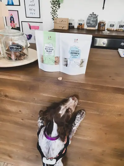Кучешка пекарна и бутик Live Love Bark