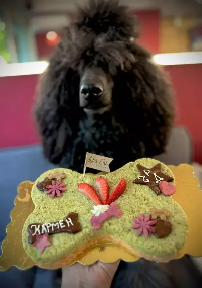 Good dog кучешка пекарна