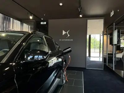 DS Store