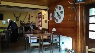 Саламандер