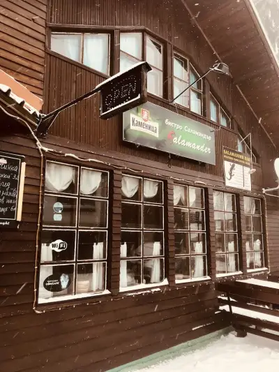 Саламандер