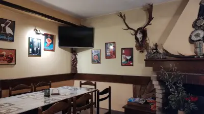 Саламандер