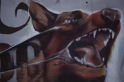 Urban Creatures 2011, 2012 - The beginning
