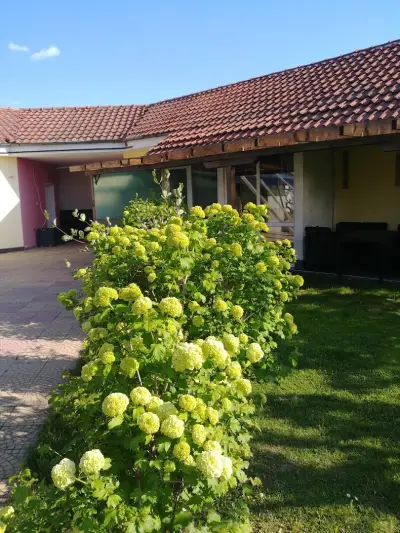 Galeria In The Garden