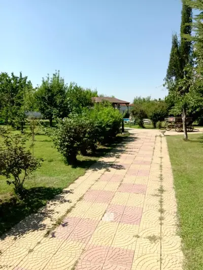 Galeria In The Garden