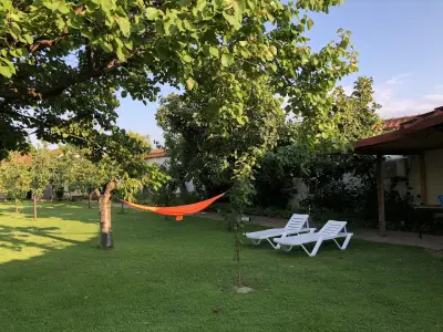 Galeria In The Garden