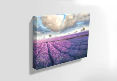Yanev Arts