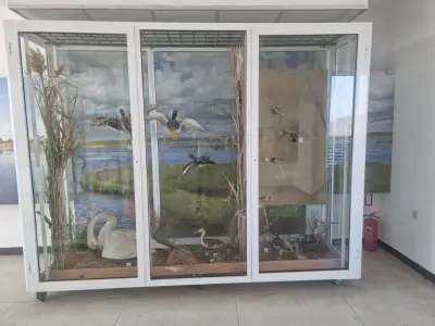 Природонаучен музей Сребърна