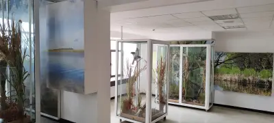Природонаучен музей Сребърна