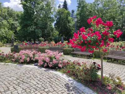 Розариум в Борисовата градина