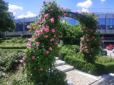 Розариум в Борисовата градина