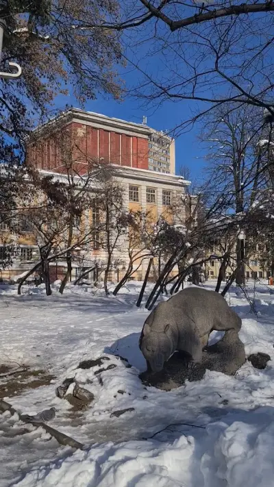 Градинката с Мечето
