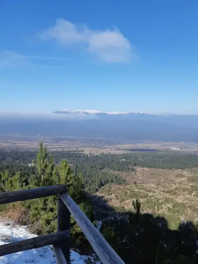 Панорамна гледка