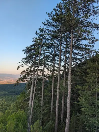 Панорамна гледка