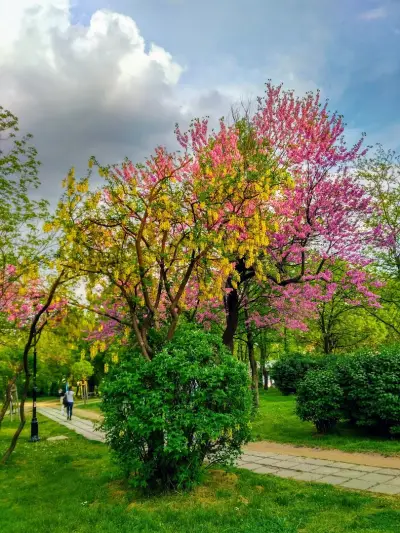 Парк „Овча купел“