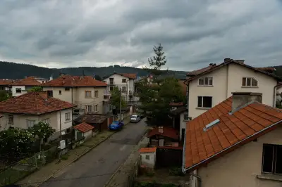 Дилцвет