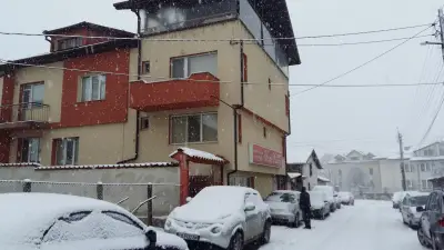Дилцвет