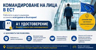 ТЕД КОНСУЛТИНГ / TED CONSULTING