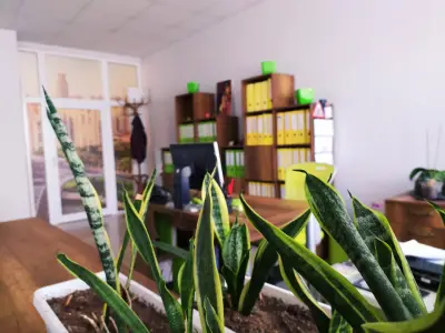 Счетоводни услуги Варна - Счетоводна кантора МЕТЕОРА