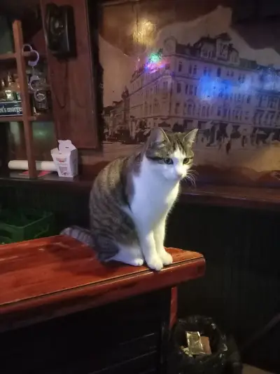 The Corner