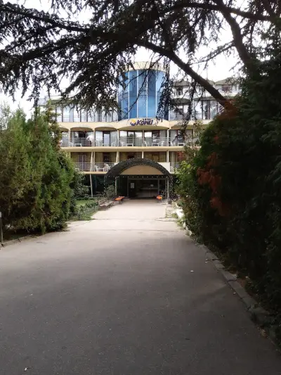 Монти