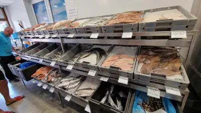Рибна борса Kavarna Fish