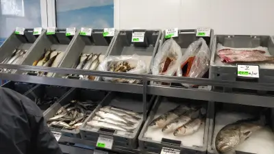 Рибна борса Kavarna Fish