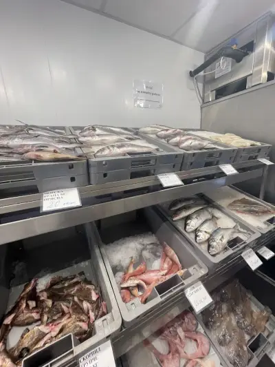 Рибна борса Kavarna Fish