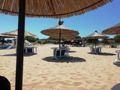 Liucy's Surf Bar