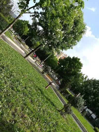 Парк Меден Рудник Централен