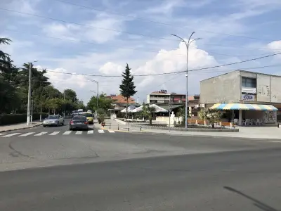 Елит