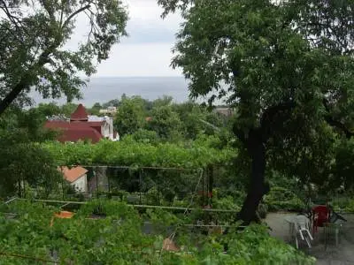 Вила Жана