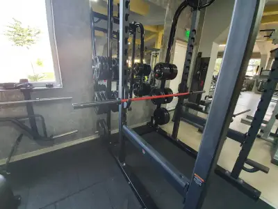 Jungle Gym