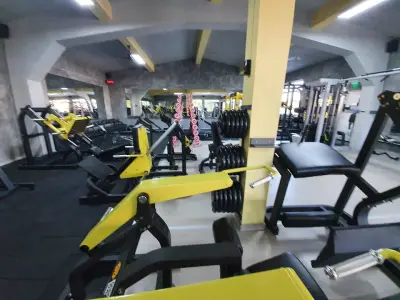 Jungle Gym
