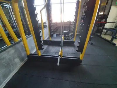 Jungle Gym