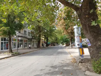Кафе "Дрийм"