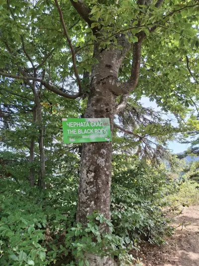 Hiking Trail to the Black Rock