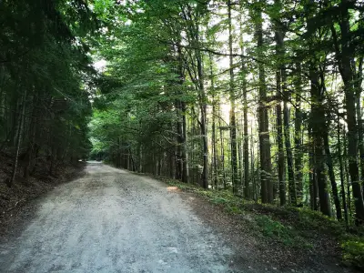 Hiking Trail to the Black Rock