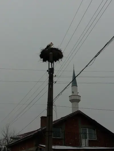 Джамия с. Кликач